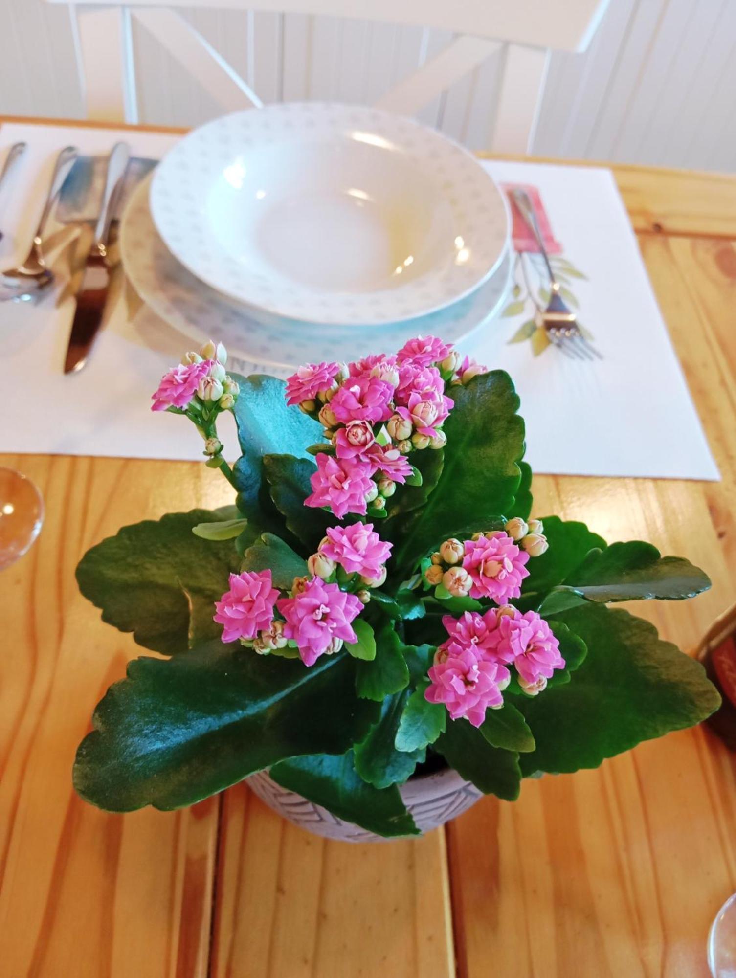 La Regalia De Requejo Villa Reinosa Ngoại thất bức ảnh